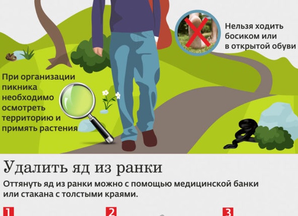 Укусы ядовитых змей: первая помощь.