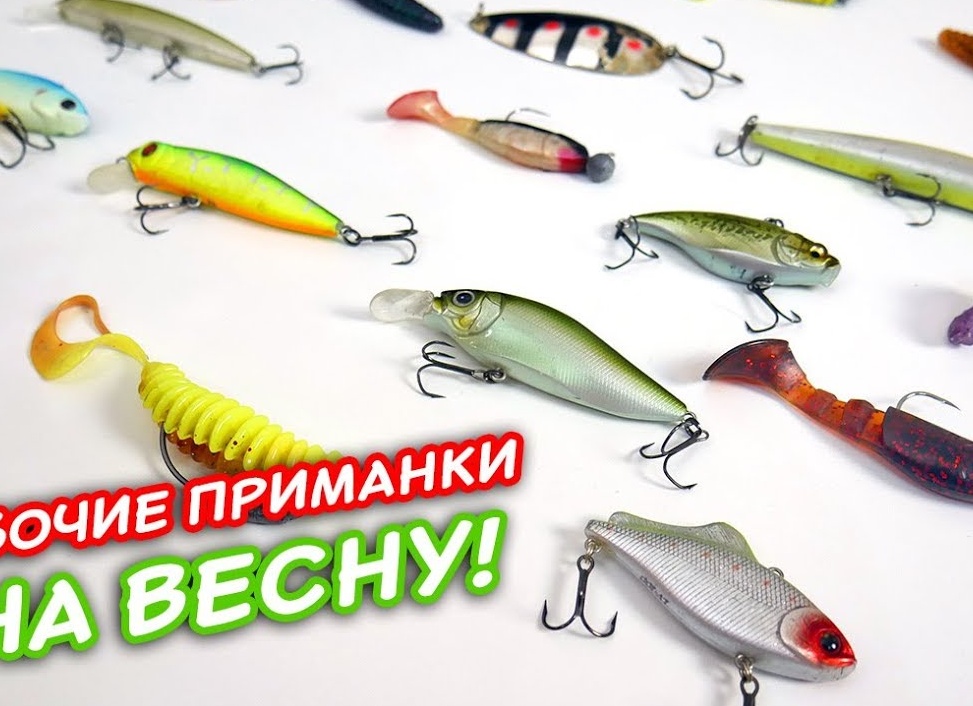 Когда и как ловить щуку весной