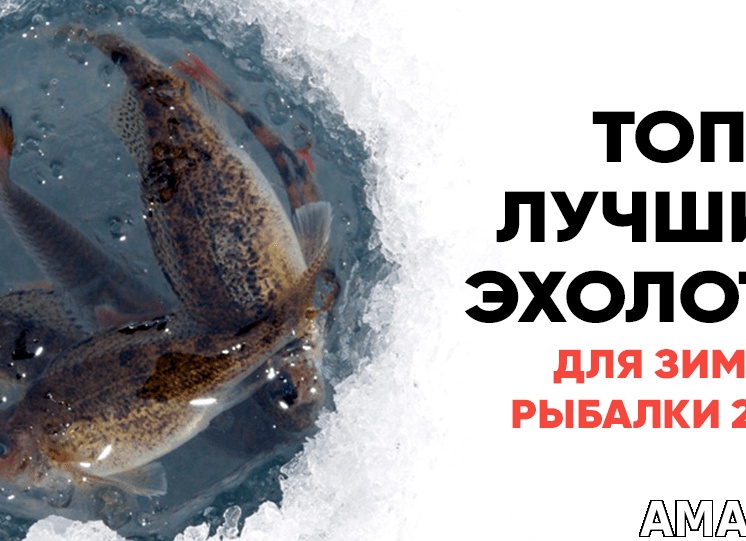 Зимняя рыбалка 2022: рейтинг лучших бюджетных эхолотов!