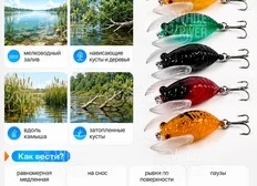 5 способов проводки спиннинговых приманок для начинающих рыболовов 🎣
