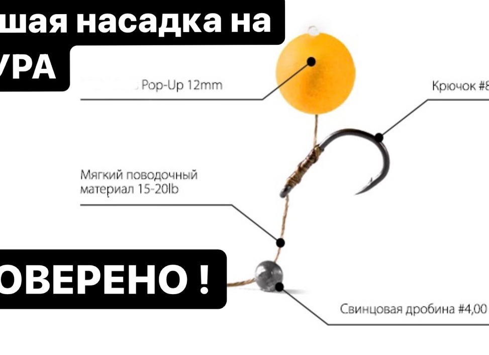 Как ловить амура на фидер с кормушкой на волос с двумя крючками 🎣