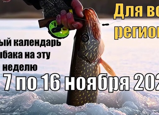 🌕 Лунный календарь рыбака на неделю🎣