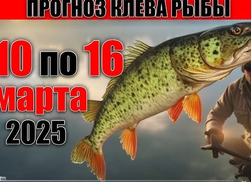🎣 Лунный календарь и прогноз клева рыбы с 15 по 22 февраля: научный анализ и советы