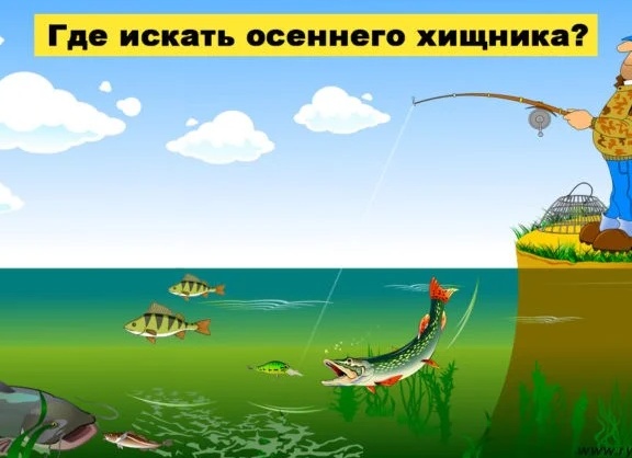 Осенний окунь. Где искать? На что ловить?
